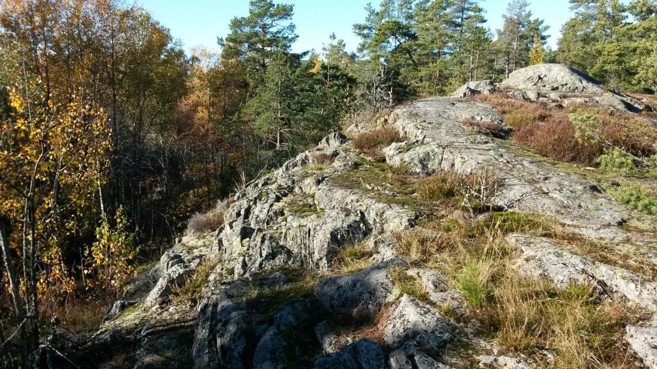 Bed&Breakfast In Nature 12 Min From City Free Bikes Stockholm Luaran gambar